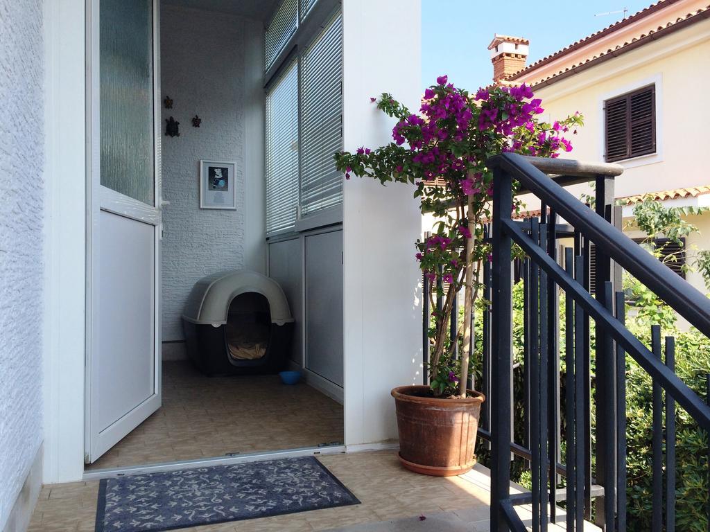 Apartments Kolorcek Izola Eksteriør billede